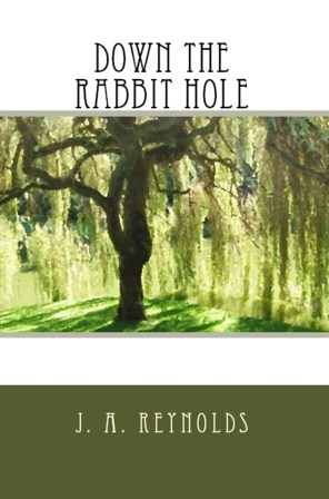 BookCoverPreviewDTRHNook